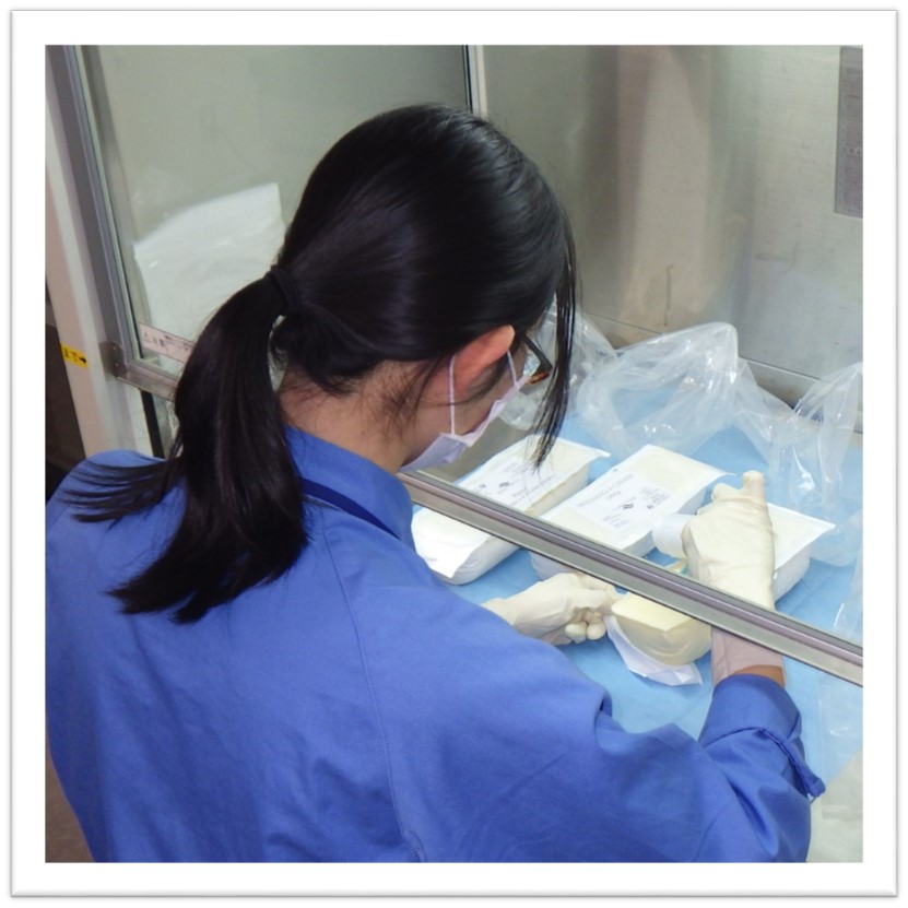 関西空港検疫所 食品監視課